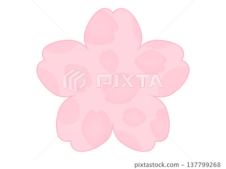 Cherry blossom background 137799268