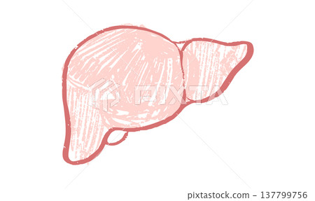 Liver logo sketch 137799756