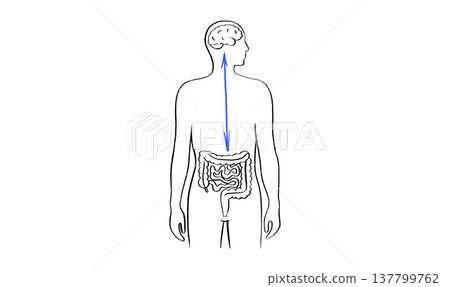 Gut Brain Connection Gut Brain Connection 137799762