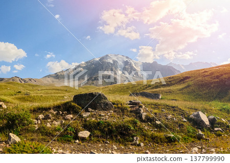 Mountain landscape featuring alpine meadows, large boulders and a snow-capped peak under a bright sky. Mountain landscape featuring alpine meadows, large boulders and a snow-capped peak under a bright sky. 137799990