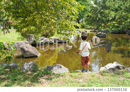 A boy's back as he searches for creatures in a pond with a butterfly net. 137800138