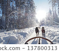 在芬蘭羅瓦涅米體驗狗拉雪橇，欣賞白雪皚皚的森林冬景。 137800313