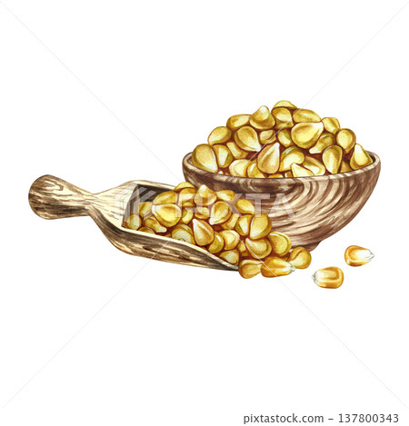 Corn kernels in a wooden bowl and a wooden scoop. Hand-drawn watercolor illustration. Perfect for labels and packaging, as well as menus, banners, posters, and more. Corn kernels in a wooden bowl and a wooden scoop. Hand-drawn watercolor illustration. Perfect for labels and packaging, as well as menus, banners, posters, and more. 137800343