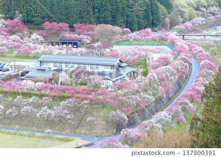 Hanamo no Sato Hanamo no Sato 137800391