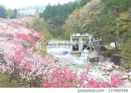 Hanamo no Sato Hanamo no Sato 137800398