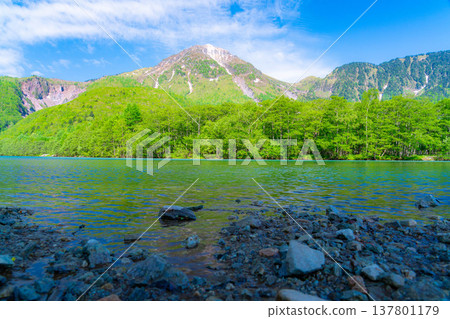 [Spectacular Scenery] Early Summer in Kamikochi: Taisho Pond and Mt. Yake amidst the fresh greenery [Nagano Prefecture] 137801179