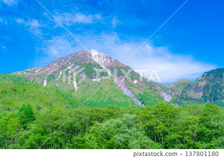 【壯麗景色】上高地初夏:大正池與燒山在翠綠的背景下【長野縣】 【壯麗景色】上高地初夏:大正池與燒山在翠綠的背景下【長野縣】 137801180