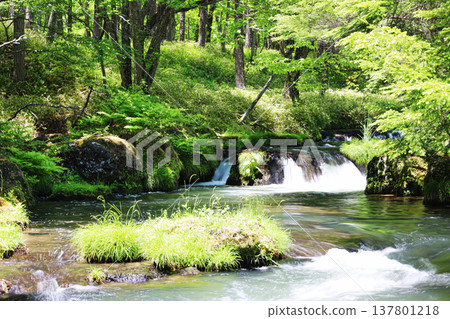Fresh greenery in Senjogahara, the small waterfall and clear stream of Yukawa (Nikko's natural scenery in June) Fresh greenery in Senjogahara, the small waterfall and clear stream of Yukawa (Nikko's natural scenery in June) 137801218