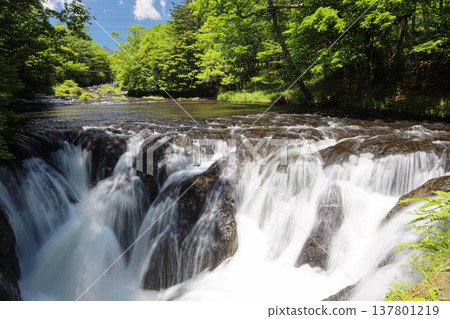 The clear waters of the Yukawa River and small waterfalls in early summer: A natural landscape of Senjogahara, Nikko. The clear waters of the Yukawa River and small waterfalls in early summer: A natural landscape of Senjogahara, Nikko. 137801219