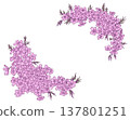 Moss phlox frame material 137801251