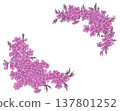 Moss phlox frame material 137801252