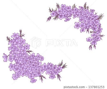Moss phlox frame material Moss phlox frame material 137801253