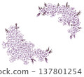Moss phlox frame material 137801254