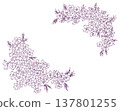 Moss phlox frame material 137801255