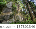The back of the Oyashirazu rock peak on Mt. Takatori in Yokosuka City 137801340