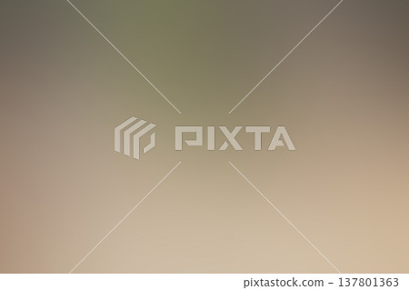 Abstract brown background with smooth gradient light flare. Soft focus texture for graphic design presentation. Minimalist backdrop with warm neutral tone for creative web display. Abstract brown background with smooth gradient light flare. Soft focus texture for graphic design presentation. Minimalist backdrop with warm neutral tone for creative web display. 137801363