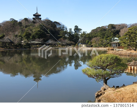 橫濱市三景園（大池/舊富明寺三塔） 137801514