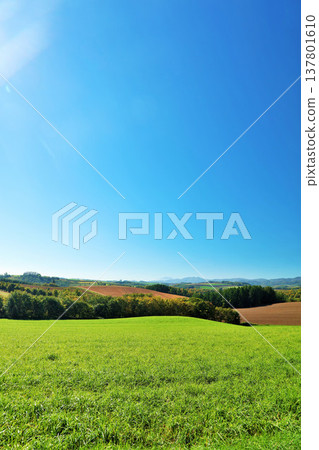 北海道夏天藍天和Biei風景 北海道夏天藍天和Biei風景 137801610