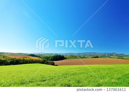 Hokkaido summer blue sky and Biei landscape Hokkaido summer blue sky and Biei landscape 137801611