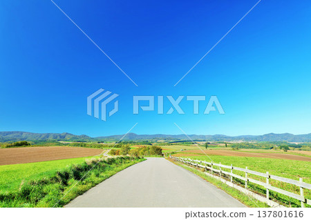 Hokkaido summer blue sky and Biei landscape Hokkaido summer blue sky and Biei landscape 137801616