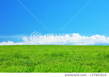 Hokkaido summer blue sky and fresh green meadow scenery Hokkaido summer blue sky and fresh green meadow scenery 137801618
