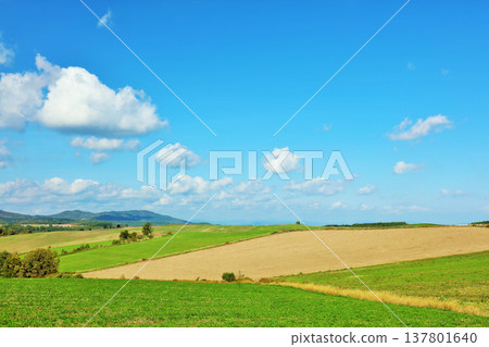 Hokkaido Autumn blue sky and Biei scenery Hokkaido Autumn blue sky and Biei scenery 137801640