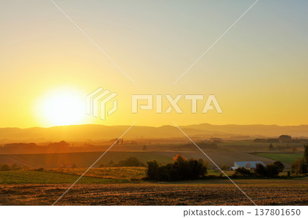 Hokkaido Biei autumn dusk 137801650