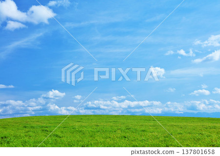 Hokkaido summer blue sky and fresh green meadow scenery Hokkaido summer blue sky and fresh green meadow scenery 137801658