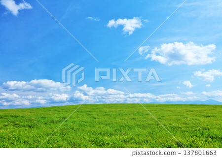 Hokkaido summer blue sky and fresh green meadow scenery Hokkaido summer blue sky and fresh green meadow scenery 137801663