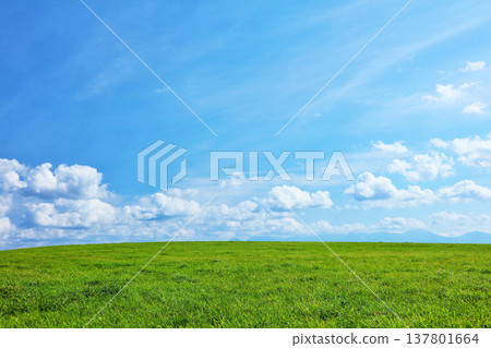 Hokkaido summer blue sky and fresh green meadow scenery Hokkaido summer blue sky and fresh green meadow scenery 137801664