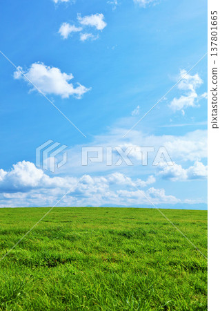 Hokkaido summer blue sky and fresh green meadow scenery 137801665