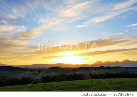 北海道秋天的黎明和美瑛的風景 北海道秋天的黎明和美瑛的風景 137801676