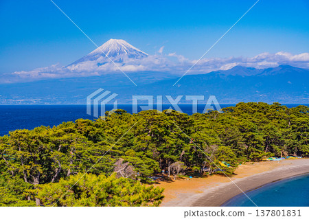 (靜岡縣)西伊豆戶田的御濱岬:隔海相望的富士山 (靜岡縣)西伊豆戶田的御濱岬:隔海相望的富士山 137801831