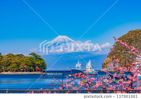 從靜岡縣西伊豆市戶田漁港眺望富士山 137801881