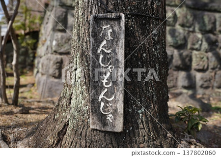 Nanjamonja characters 137802060