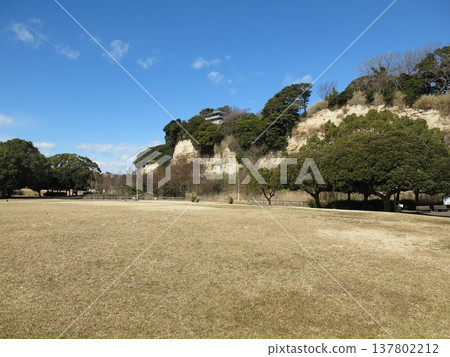 A grassy area in Honmoku Citizens' Park, Naka Ward, Yokohama City 137802212