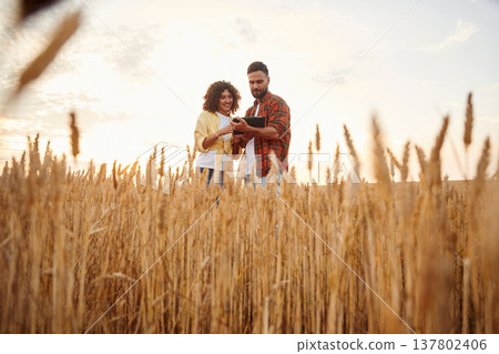 Two workers are on the wheat agricultural field together Two workers are on the wheat agricultural field together 137802406