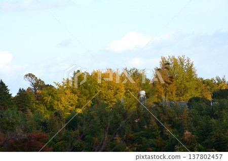 紅葉谷、偕樂園的秋葉,2025-11-8,#64 紅葉谷、偕樂園的秋葉,2025-11-8,#64 137802457