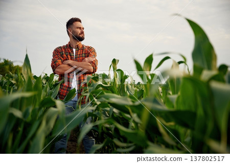 Man is on the corn agricultural field Man is on the corn agricultural field 137802517