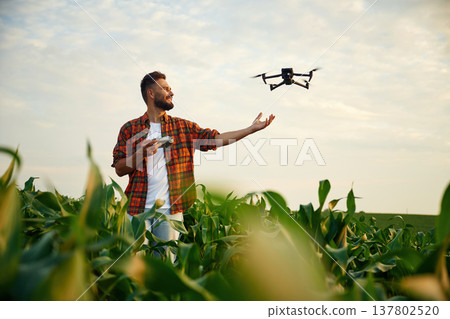 Releasing the drone for flying by hand. Man is on the corn agricultural field 137802520