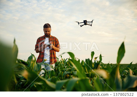 Releasing the drone for flying by hand. Man is on the corn agricultural field 137802522