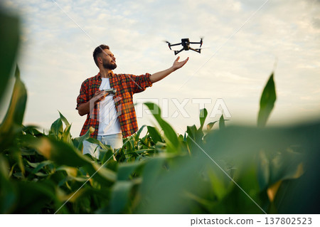 Releasing the drone for flying by hand. Man is on the corn agricultural field Releasing the drone for flying by hand. Man is on the corn agricultural field 137802523