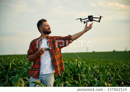 Releasing the drone for flying by hand. Man is on the corn agricultural field 137802524
