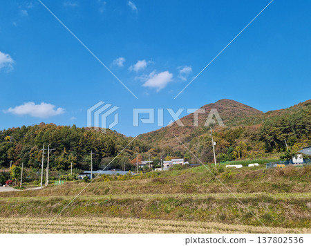 It is a rural landscape in autumn. It is a rural landscape in autumn. 137802536