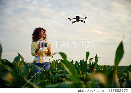The future is here, using the drone. Woman is on the corn agricultural field The future is here, using the drone. Woman is on the corn agricultural field 137802575