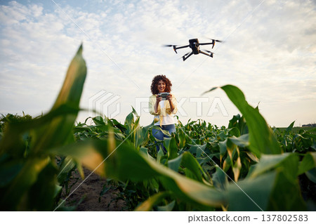 Professional drone operator. Woman is on the corn agricultural field Professional drone operator. Woman is on the corn agricultural field 137802583