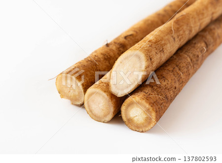 4 牛蒡根 牛蒡根橫斷面 4 牛蒡根 牛蒡根橫斷面 137802593
