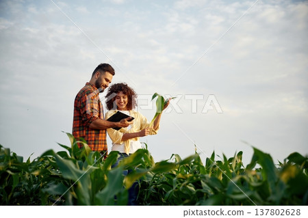 Against cloudy sky. Man and woman are on the corn agricultural field 137802628