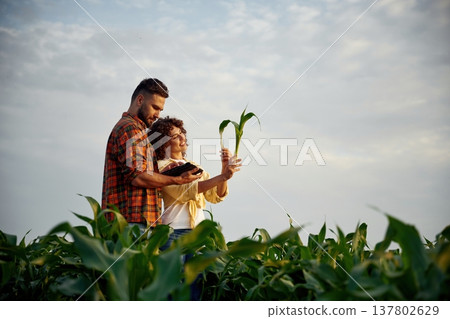 Against cloudy sky. Man and woman are on the corn agricultural field Against cloudy sky. Man and woman are on the corn agricultural field 137802629