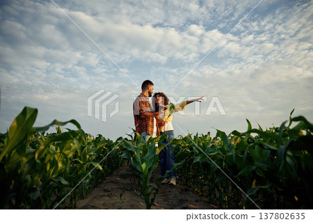 Rural non urban scene. Man and woman are on the corn agricultural field 137802635